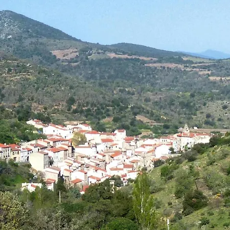 In Near Vineyards