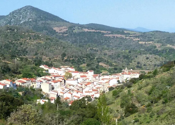 In Near Vineyards